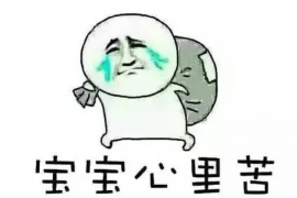 金溪追債公司哪里找？專業(yè)機構(gòu)助您解決債務(wù)難題